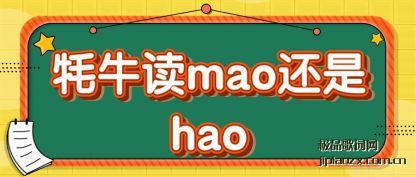 ţ(du)mao(shi)hao